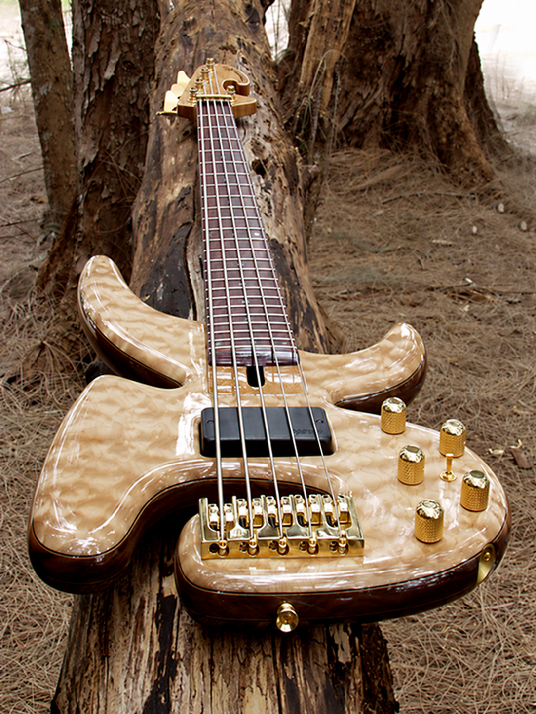 Natural wood Petrounov JC five-string bass